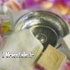 Lire cet article : Hammam