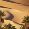 Lire cet article : D�couvrir le D�sert