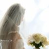 Lire cet article : Virginit� 