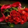 Lire cet article : Saint-Valentin : offrez un po�me ou une chanson !