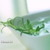 Lire cet article : Henn� neutre