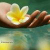 Lire cet article : Programme beaut� pour le nouvel an