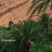 Sahara verdoyant
