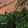 Lire cet article : Le Sahara, cet ancien Eden