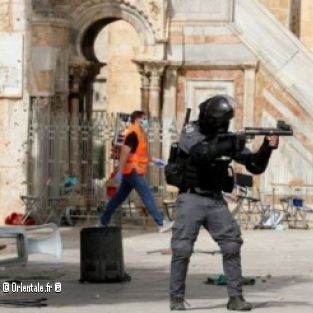 🇵🇸 Palestine