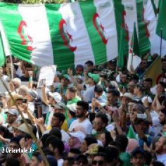 Kabyles brandissant le drapeau algérien