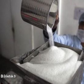 Création d'une nouvelle entreprise de sucre