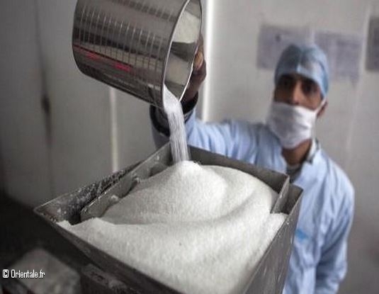 Cration d'une nouvelle entreprise de sucre