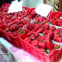 Khiri Oued Adjoul produit les meilleures fraises