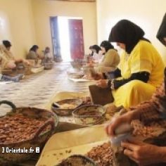 Fabrication de l'huile d'argan au Maroc